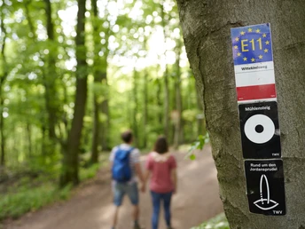Waldweg im Grünen, zwei Personen spazieren, Schilder für Wanderwege am Baumstamm angebracht.