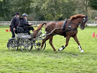 Fahrsport