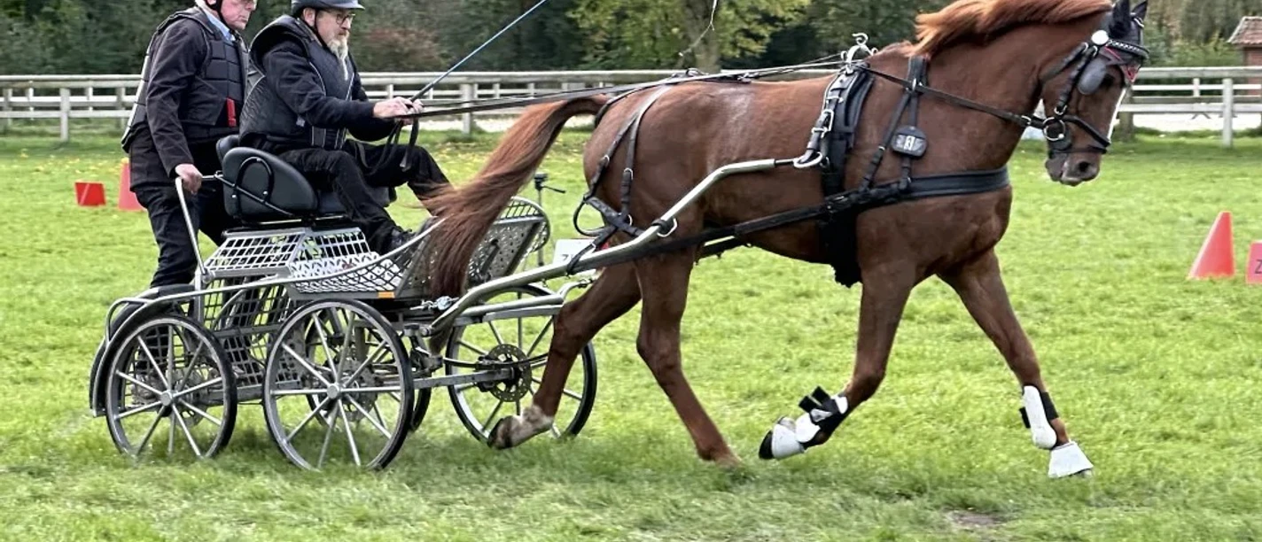 Fahrsport