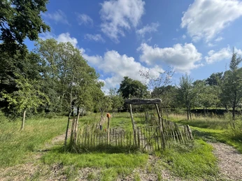 Wallhecken Umweltzentrum Das Bild zeigt den Garten vom Verein Wallhecken Umweltzentrum