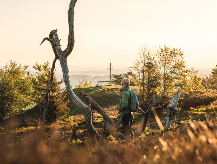 Wanderer-Baumwurzel-Gipfelkreuz-Abendlicht c) Jonas Dülberg, Tourist-Info Willingen.jpg