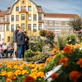 Menschen genießen den Frühling auf einem belebten Marktplatz, umgeben von bunten Blumen.