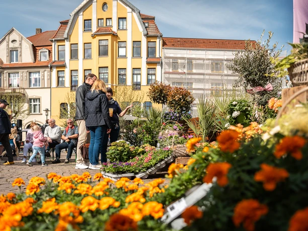 Menschen genießen den Frühling auf einem belebten Marktplatz, umgeben von bunten Blumen.