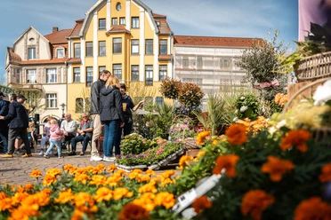Alter Markt_Herforder_Fruehling_Pro Herford.jpg Menschen genießen den Frühling auf einem belebten Marktplatz, umgeben von bunten Blumen.