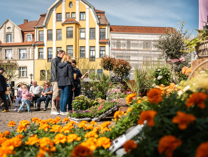 Alter Markt_Herforder_Fruehling_Pro Herford.jpg Menschen genießen den Frühling auf einem belebten Marktplatz, umgeben von bunten Blumen.
