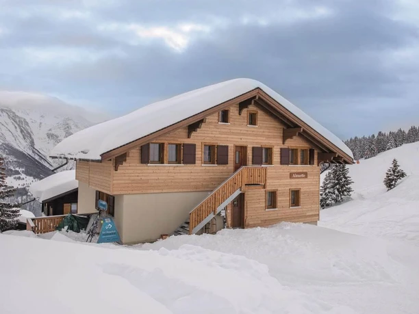 Alouette Winter 1 image
