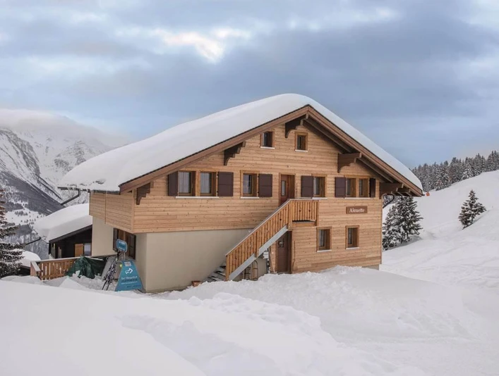 Alouette Winter 1 image