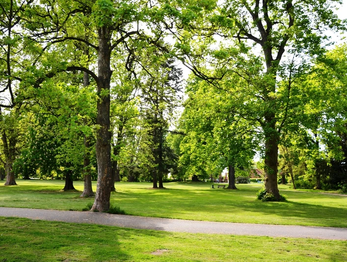 Baumbestand im Gutspark Salzgitter-Flachstöckheim