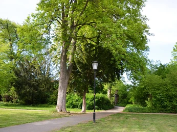 Laterne am Weg durch den Gutspark Salzgitter-Flachstöckheim