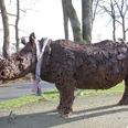 Nashorn-Spohle2-DerWiefelsteder.jpeg Eine beeindruckende Nashorn-Skulptur aus Metallteilen steht im Freien, umgeben von kahlen Bäumen.