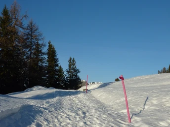 Winterwanderung Riederalp, Golmenegg, Restaurant Adler und retour