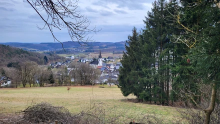 Blick auf Düdinghausen
