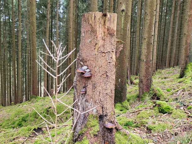 Wandern zu jeder Jahreszeit Wandern zu jeder Jahreszeit
