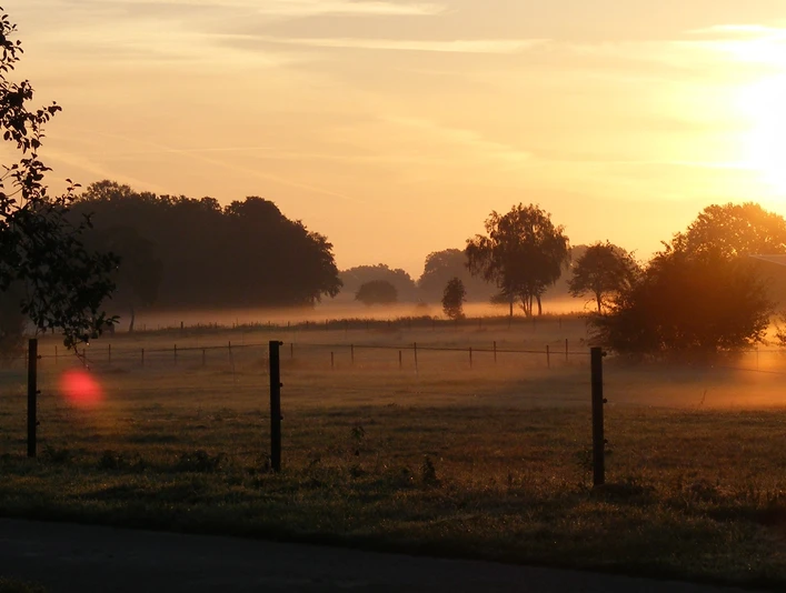 der Sonne entgegen.JPG der Sonne entgegen