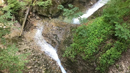 themenweg-gummischlucht-gunten-bachlauf.jpg