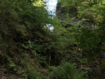 themenweg-gummischlucht-gunten-bruecke.jpg