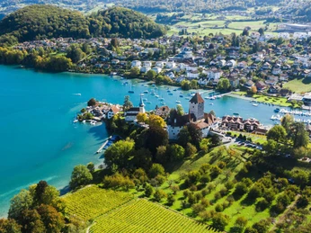 spiez-bucht-schloss-rebberg-drohnenbild-sommer.jpg