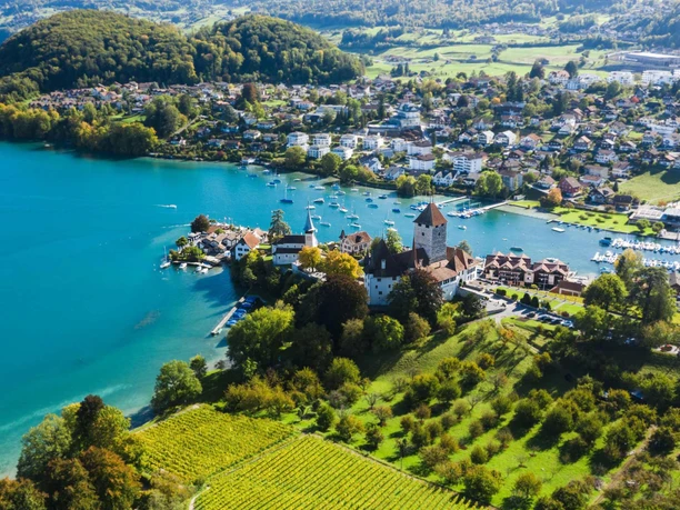 spiez-bucht-schloss-rebberg-drohnenbild-sommer.jpg