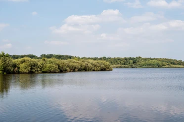 Bederkesaer See.jpg