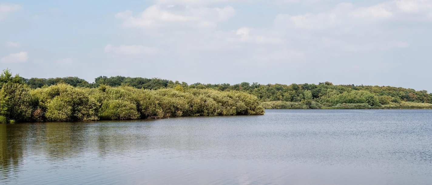 Bederkesaer See.jpg Bederkesaer See.jpg