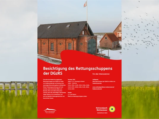 NPHM_Rettungsschuppens 2025.png