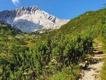 Blick auf die Alpspitze