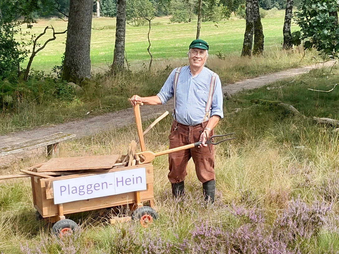 Plaggen-Hein-Bispingen-Lueneburger-Heide.jpg Gästeführer Heinz Hoyer präsentiert historische Werkzeuge der Heidebauern in der Lüneburger Heide