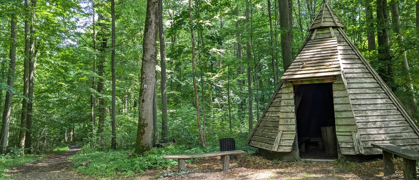 Märchenwald_Köhlerhütte Köhlerhütte zwischen hohen Bäumen im grünen Stadtwald Hube bei Einbeck mit Sitzbänken.
