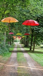 Willkommen zur Sommerausstellung | CC-BY Eva Janschek