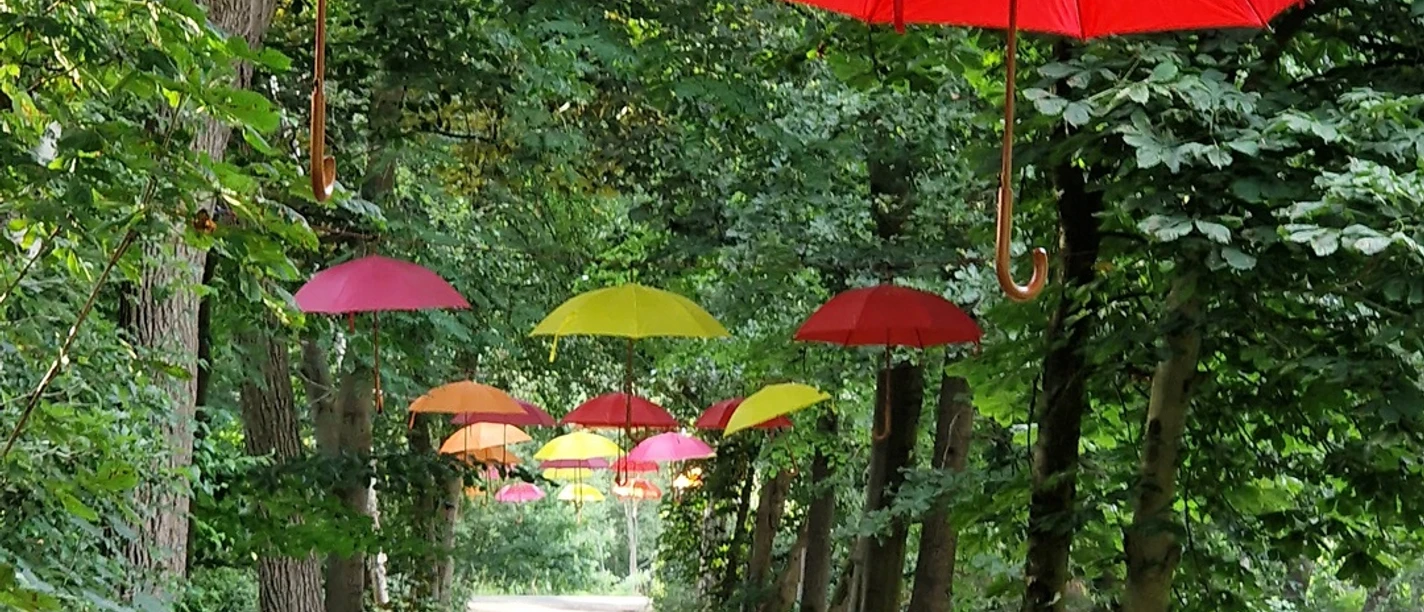 Willkommen zur Sommerausstellung | CC-BY Eva Janschek