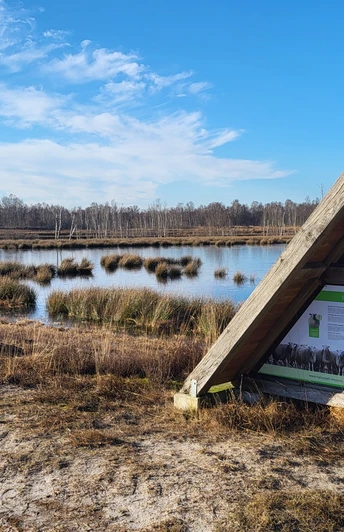 Moorkate Wesuweer Moor