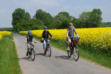 LA1_1826.jpg Drei Radfahrer, darunter ein Kind, fahren einen schmalen Weg entlang, gesäumt von gelben Rapsfeldern.