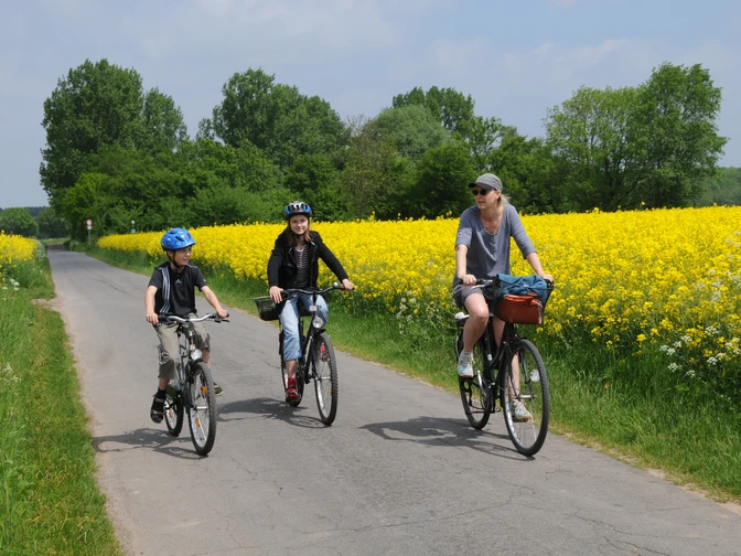 LA1_1826.jpg Drei Radfahrer, darunter ein Kind, fahren einen schmalen Weg entlang, gesäumt von gelben Rapsfeldern.