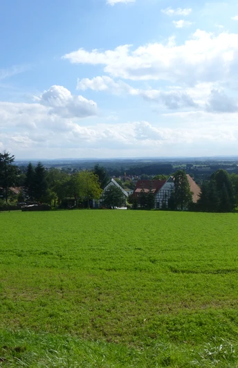 P1060939.JPG Weitläufige grüne Wiesen vor einem bewaldeten Horizont unter blauem Himmel mit verstreuten Wolken.