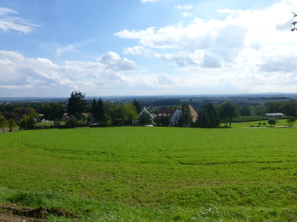 P1060939.JPG Weitläufige grüne Wiesen vor einem bewaldeten Horizont unter blauem Himmel mit verstreuten Wolken.