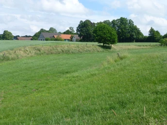 P1050948.JPG Grüne Wiesenlandschaft mit vereinzeltem Baum im Vordergrund und Bauernhäusern am Horizont.