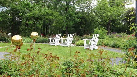 buergerpark-rosengarten-stuehle-wtg-web-2.jpg Stühle im Bürgerpark Wernigerode
