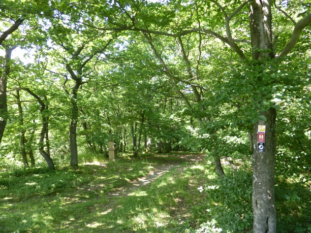 Unterwegs auf dem Medebacher Bergweg