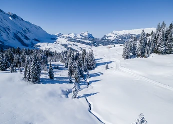 Winterwanderung zum Glaubenbielenpass