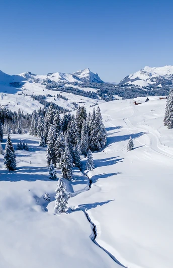 Winterwanderung zum Glaubenbielenpass