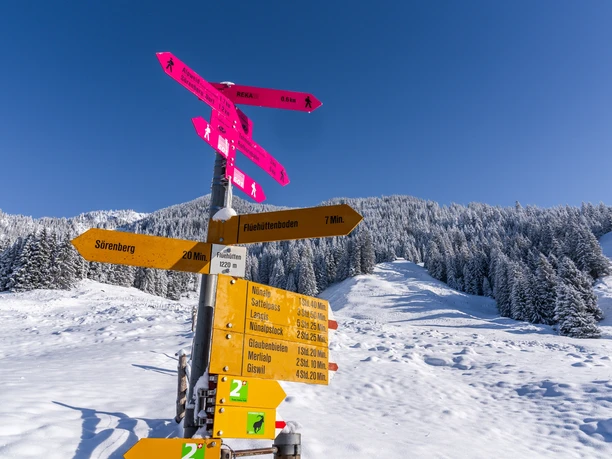 Winterwanderung zum Glaubenbielenpass