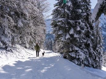 Winterwanderung zum Glaubenbielenpass
