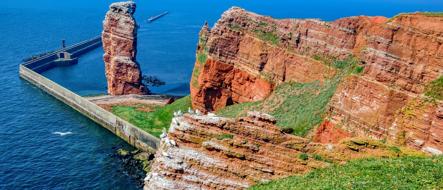 Helgoland Insel, Meer, Fels, Möwen
