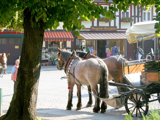 Marktstrasse-Pferdefuhrwagen Marktstrasse-Pferdefuhrwagen
