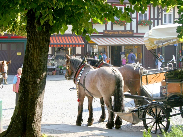 Marktstrasse-Pferdefuhrwagen Marktstrasse-Pferdefuhrwagen
