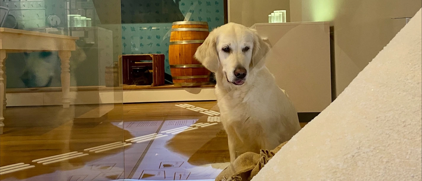 Doggy Day Westfälische Salzwelten Bad Sassendorf