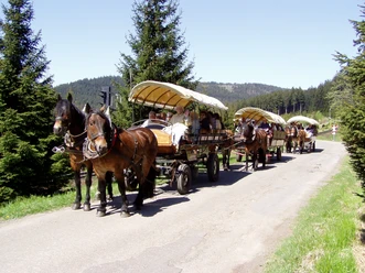 Brockenfahrt_Planwagen Brockenfahrt_Planwagen