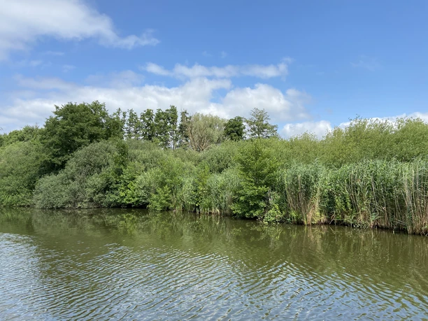 Wasser-Hagenburg-Kanal-Natur-Ufer Grüne Ufervegetation spiegelt sich im ruhigen Wasser des Hagenburg-Kanals unter blauem Himmel.
