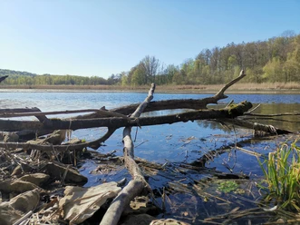 Itelteich (5).JPEG
