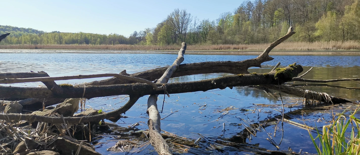 Itelteich im Herbst